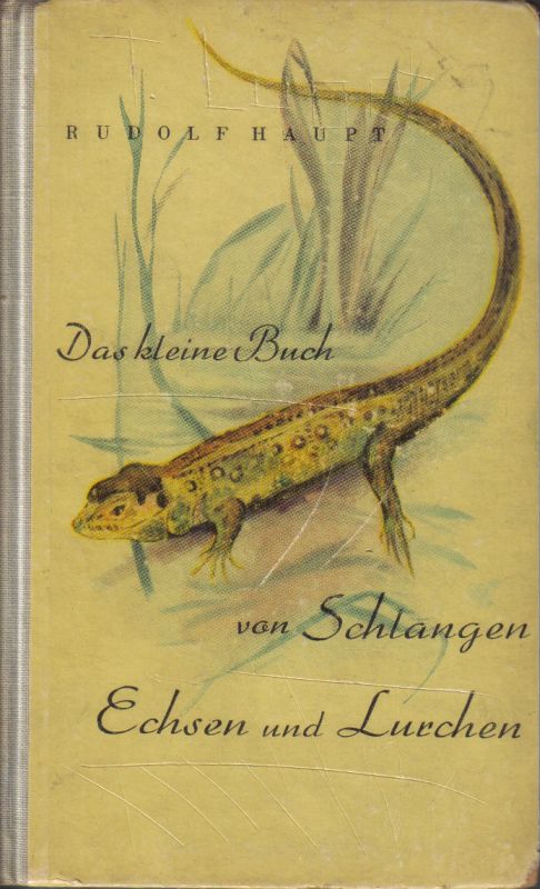 Haupt,Rudolf  Das kleine Buch von Schlangen,Echsen und Lurchen 