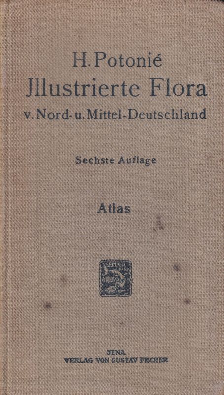 Potonie,H.  Illustrierte Flora von Nord- und Mitteldeutschland. 