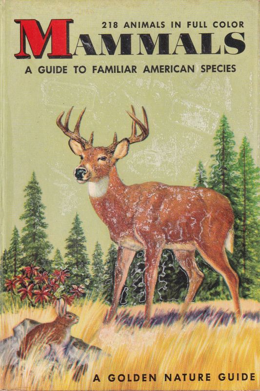 Zim,Herbert S.+Donald F.Hoffmeister  Mammals.A Guide fo familiar american species 