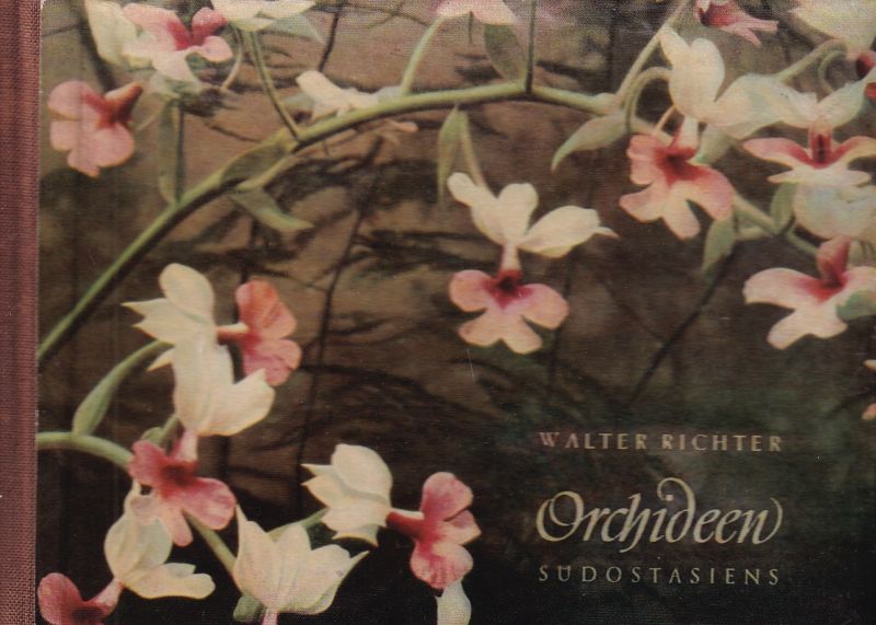 Richter,Walter  Orchideen Südostasiens 