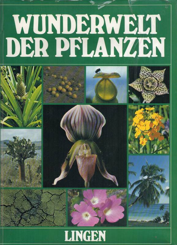 Michler,Günther (Hsg.)  Wunderwelt der Pflanzen 