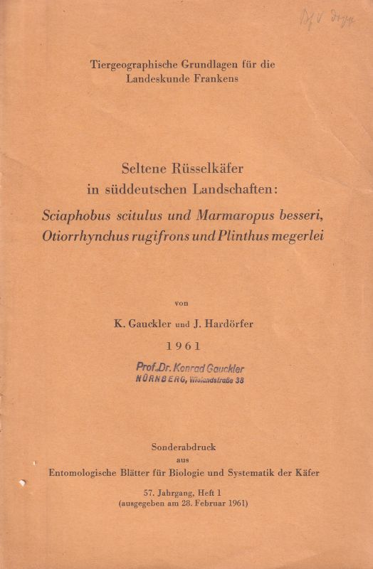Gauckler,K. und J.Hardörfer  Seltene Rüsselkäfer in süddeutschen Landschaften: Sciaphobus situlus 