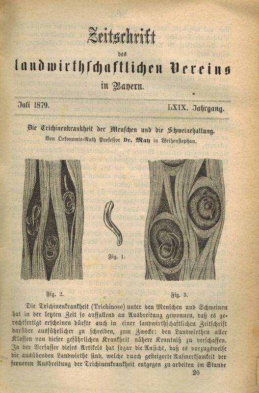 Landwirthschaftlicher Verein in Bayern  Zeitschrift des Landwirthschaftlichen Vereins in Bayern 1879 