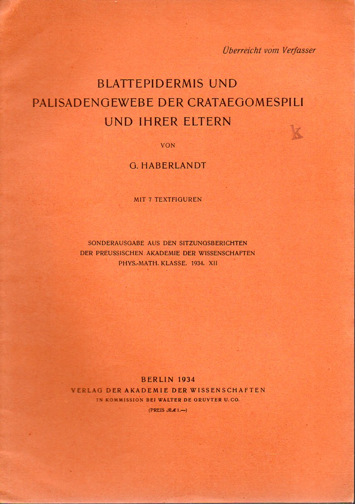Haberlandt,G.  Blattepidermis und Palisadengewebe der Crataegomespili und ihrer 