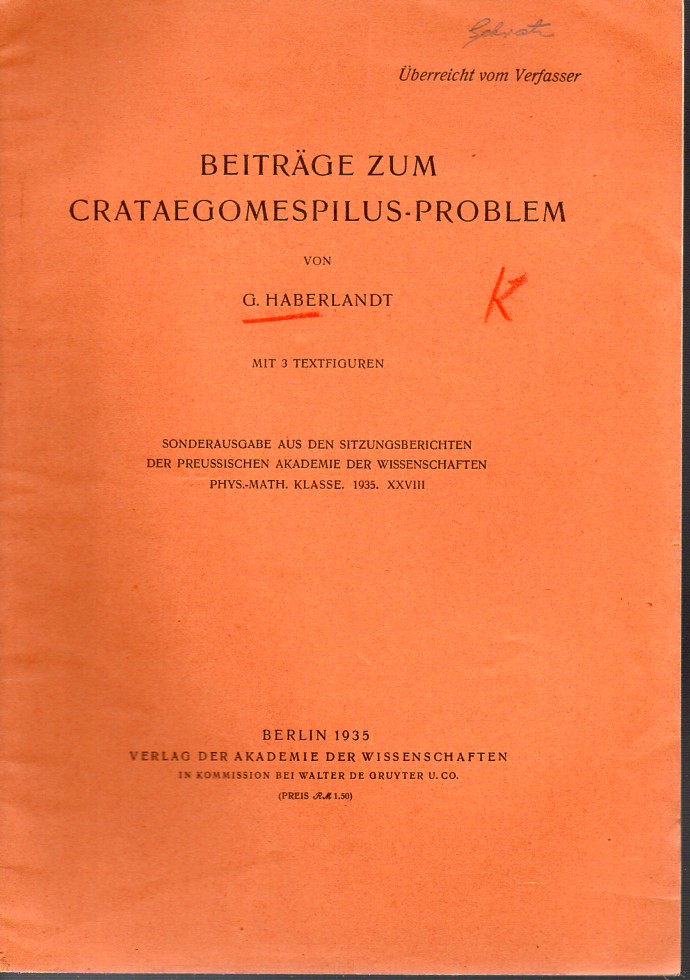 Haberlandt,G.  Beiträge zum Crataegomespilus-Problem 