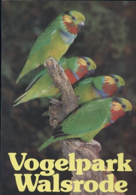 Walsrode-Zoo  Vogelpark Walsrode (Titelbild Edwards-Feigenpapagei) 