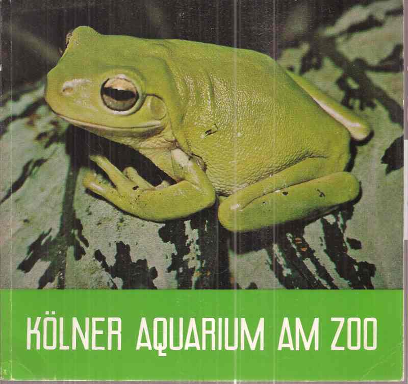 Köln-Zoo  Kölner Aquarium am Zoo (Laubfrosch) 