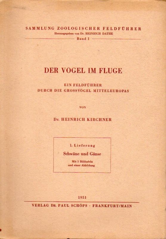 Kirchner,Heinrich  Der Vogel im Fluge 