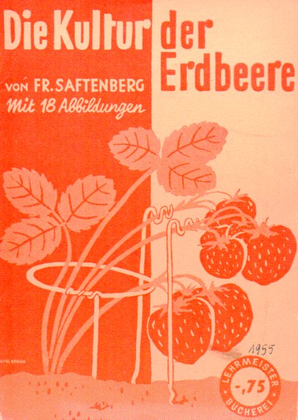 Saftenberg,Fr.  Die Kultur der Erdbeere 