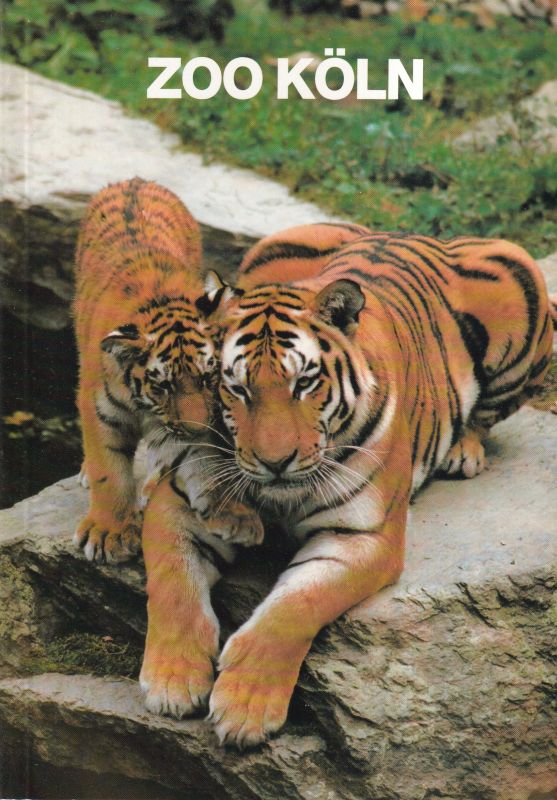 Köln-Zoo  Wegweiser durch den Zoologischen Garten Köln (Tigermutter mit Kind) 