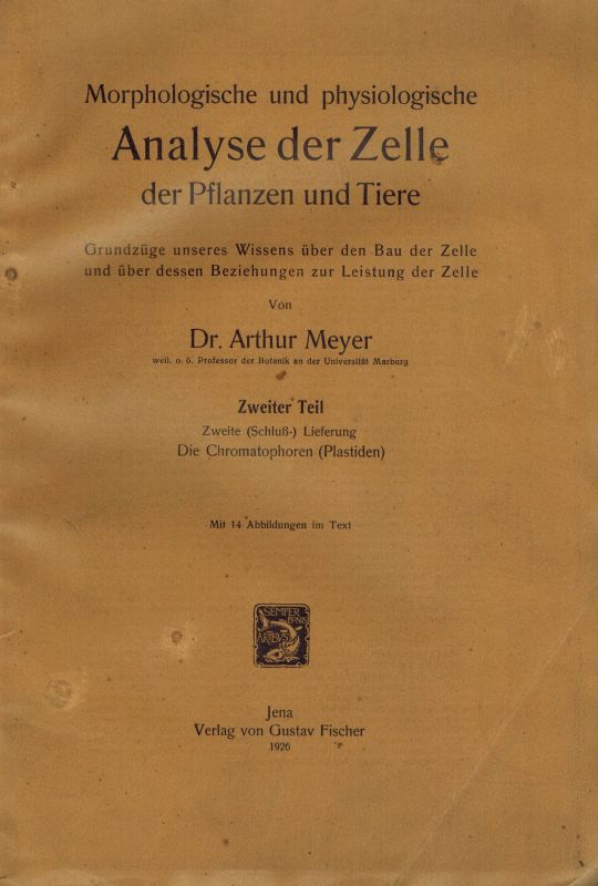 Meyer,A.  Morphologische und physiologische Analyse der Zelle der Pflanzen 
