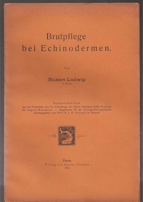 Ludwig,Hubert  Brutpflege bei Echinodermen 