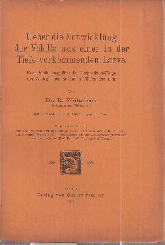 Woltereck,R.  Über die Entwicklung der Velella aus einer in der Tiefe 