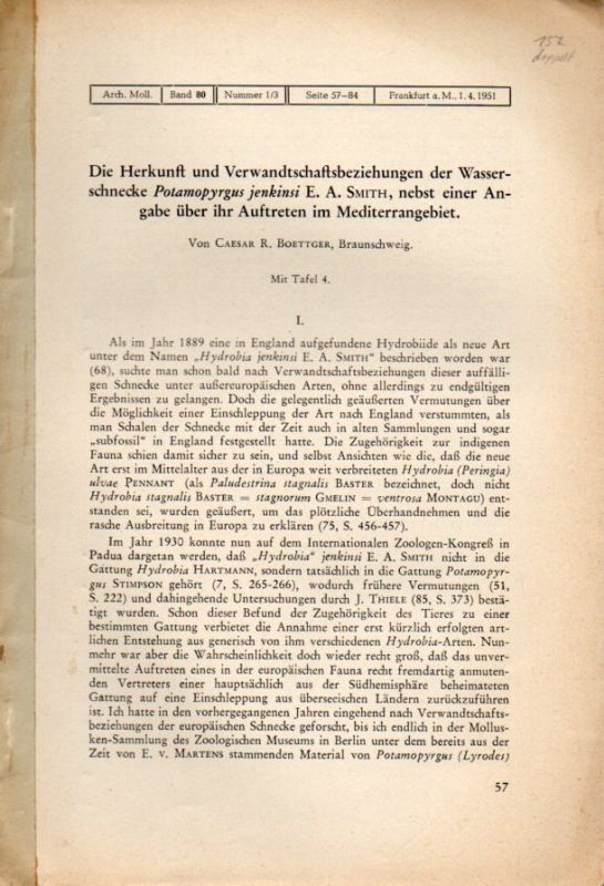 Boettger,Caesar R.  Die Herkunft und Verwandtschaftsbeziehungen der Wasserschnecke 