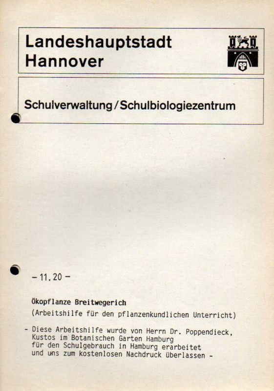 Schulbiologiezentrum Hannover  Ökopflanze Breitwegerich 