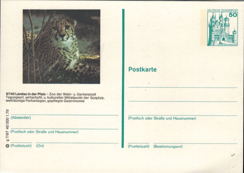 Landau/Pfalz-Zoo  Gepard 