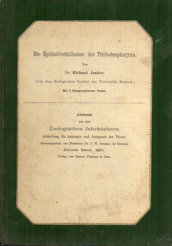 Jander,Richard  Die Epithelverhältnisse der Tricladenpharynx 