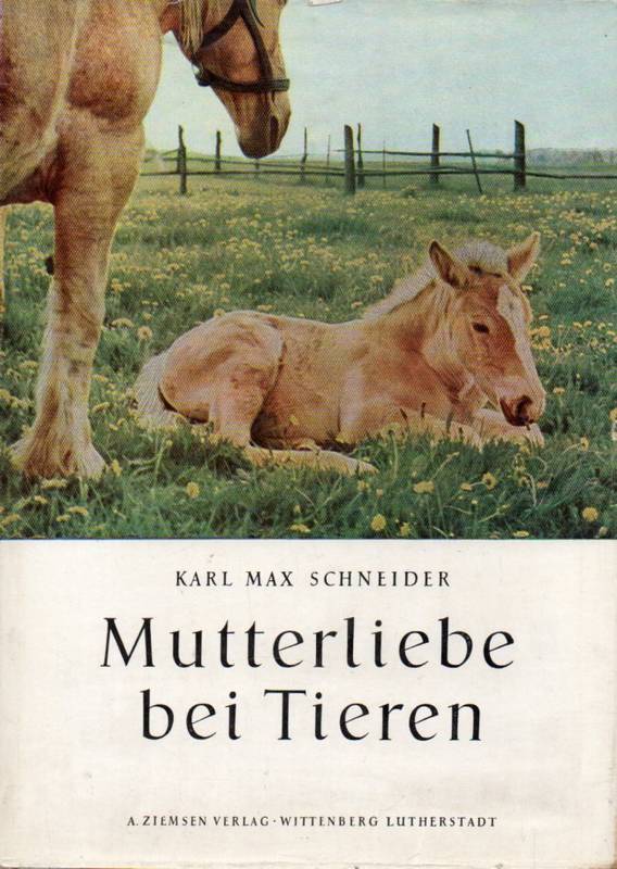 Schneider,Max  Mutterliebe bei Tieren 