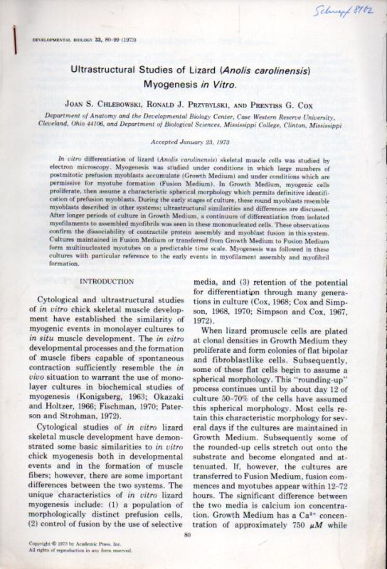 Chlebowski,Joan S. and Ronald J.Przybylski  Ultrastructural Studies of Lizard (Anolis carolinensis) Myogenesis in 