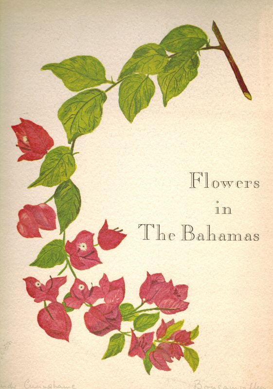 Cuninghame,Judy  Flowers in The Bahamas 