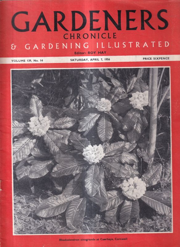 Gardeners Chronicle  Gardeners Chronicle Volume 139, 1956 No. 14, 19 und 20 (3 Hefte) 