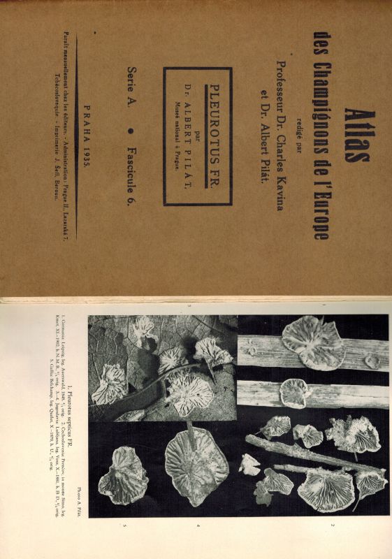 Pilat,Albert  Atlas des Champignons de l'Europa Tome II Pleurotus Fries 