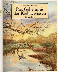 PERKINS, Benjamin  Das Geheimnis der Kiebitzwiesen 