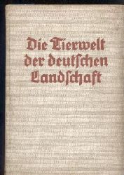 Rammner,Walter  Die Tierwelt der deutschen Landschaft 