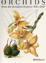 Sprunger,Samuel  Orchids from the Botanical Register 1815-1847 