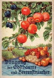 Schmidt,W.  Die Dngung der Obstbume und Beerenstrucher 