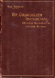 Schulze,Max  Die Orchidaceen Deutschlands 