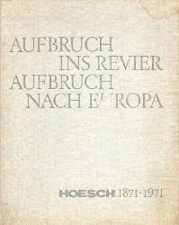 Mnnich,Horst  Aufbruch ins Revier Aufbruch nach Europa Hoesch 1871-1971 