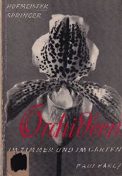 Hofmeister,Gnther und Albert Springer  Orchideen im Zimmer und im Garten 
