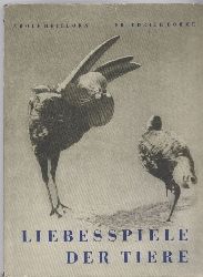 Heilborn,Adolf und Friedrich Bhme  Liebesspiele der Tiere 