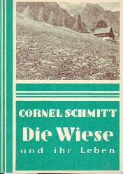 Schmitt,Cornel  Die Wiese 
