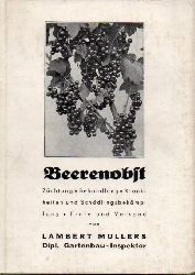 Mllers,Lambert  Gartenunterricht:Beerenobst.3.Band 
