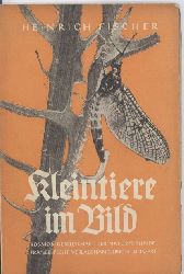 Fischer-Roth,Heinrich  Kleintiere im Bild.64 Bilder nach Originalaufnahmen 