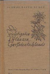 Schwaighofer,Anton+H.Budde  Die wichtigsten Pflanzen Grodeutschlands 