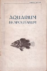 Aquarium Neapolitanum  Fhrer durch das Aquarium der zoologischen Station zu Neapel 