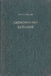 Stocker,Otto  Grundriss der Botanik 
