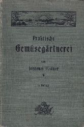 Bttner,Johannes  Praktische Gemsegrtnerei 