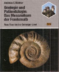 Richter,Andreas E.  Geologie und Palontologie: Das Mesozoikum der Frankenalb 