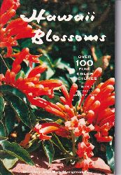 Hargreaves,Dorothy and Bob  Hawaii Blossoms 