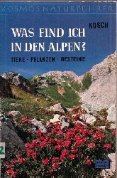 Kosch,Alois  Was find ich in den Alpen ? 