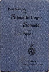 Fischer,Emil  Taschenbuch fr Schmetterlingssammler 