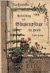 Hesdrffer,Max  Anleitung zur Blumenpflege im Hause 