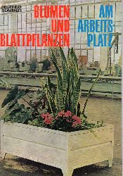Sommer,Siegfried  Blumen und Blattpflanzen am Arbeitsplatz 