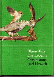 Blume,Dieter+Gerhard Fels  Das Leben Ausgabe H. Band 3 - Organismus und Umwelt 