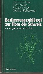 Hess,Hans Ernst+Elias Landolt+weitere  Bestimmungsschlssel zur Flora der Schweiz und angrenzender Gebiete 