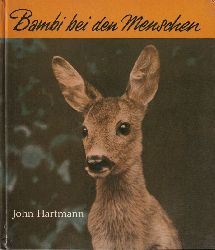 Hartmann,John  Bambi bei den Menschen 